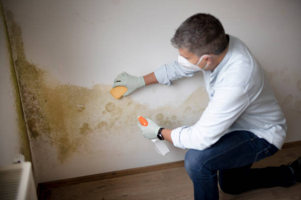 Best Airborne Mold Testing  in Fort Myers Shores, FL